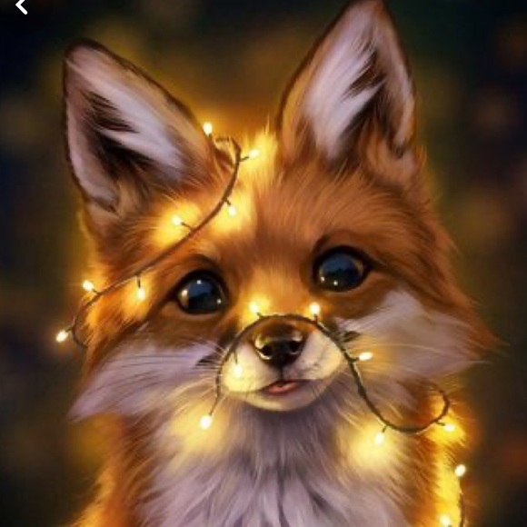 Meet your Posher, Victoria - Picture 1 of 1